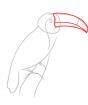 Как нарисовать птицу тукан