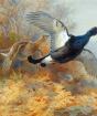 Wintering grouse birds.  Black grouse bird.  Grouse lifestyle and habitat.  Range, habitats