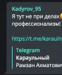 Mükemmel memenin tarifi: Kadırov, kedi, Putin'li tişört Kadırov memeleri