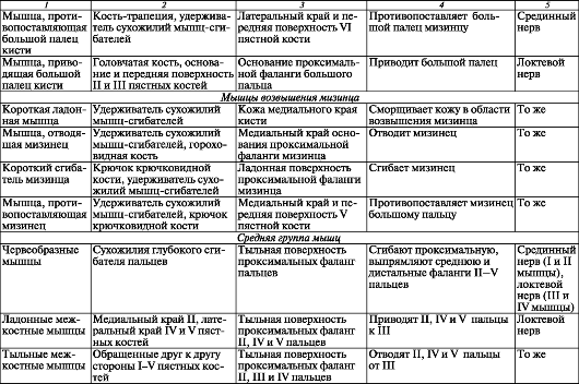 Суставы верхней и нижней конечностей. Мышцы верхней конечности таблица. Мышцы предплечья верхней конечности таблица. Функции мышц верхних конечностей таблица. Мышцы верхней конечности таблица кисти\.